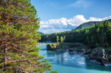 Katun nehrin kayalıklarla ve dağ manzarası. Dağ altay, Güney Sibirya, Rusya Federasyonu