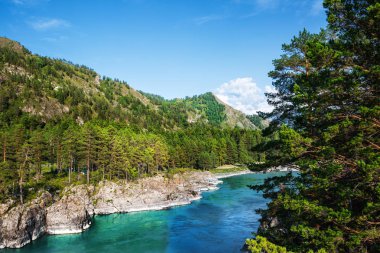 Katun nehrin kayalıklarla ve dağ manzarası. Dağ altay, Güney Sibirya, Rusya Federasyonu