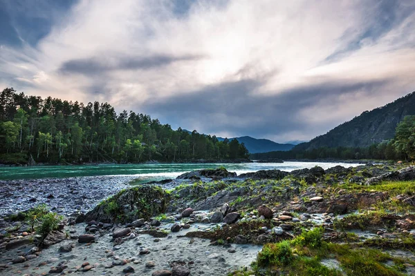 Montanha Rio Katun Cercado Por Montanhas Pôr Sol Mountain Altai — Fotografia de Stock