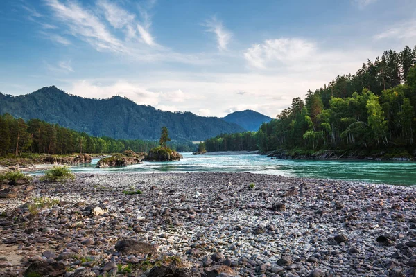 Dağ nehir Katun günbatımında dağlarla çevrili. Dağ altay, Güney Sibirya, Rusya Federasyonu