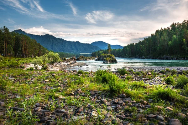 Dağ nehir Katun günbatımında dağlarla çevrili. Dağ altay, Güney Sibirya, Rusya Federasyonu