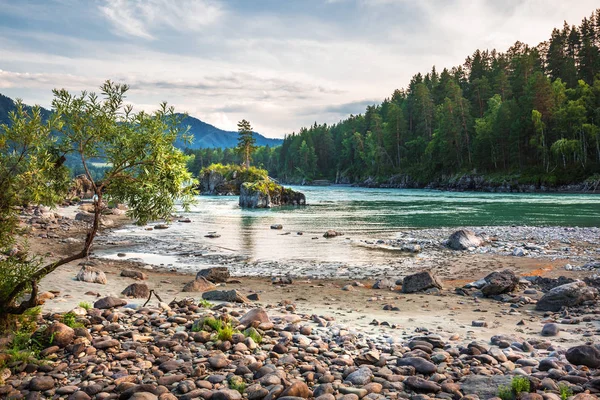 Montagna Fiume Katun Circondato Montagne Tramonto Montagna Altai Siberia Meridionale — Foto Stock