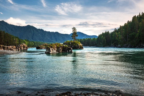 Mountain River Katun Omgivet Berg Vid Solnedgången Mountain Altai Södra — Stockfoto