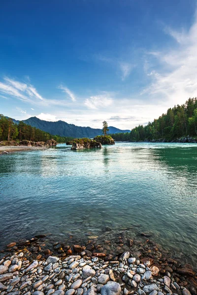 Río Montaña Katun Rodeado Montañas Atardecer Montaña Altai Siberia Del — Foto de Stock