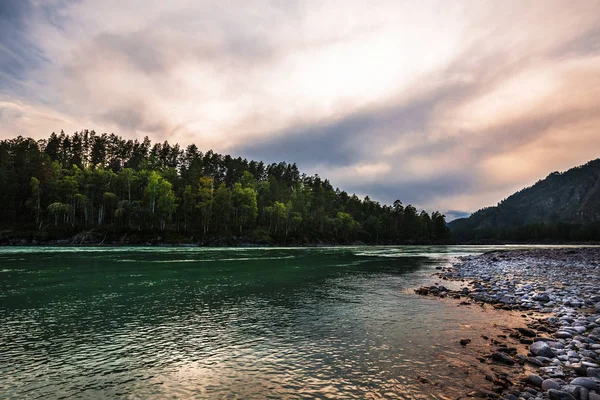 Dağ nehir Katun günbatımında dağlarla çevrili. Dağ altay, Güney Sibirya, Rusya Federasyonu