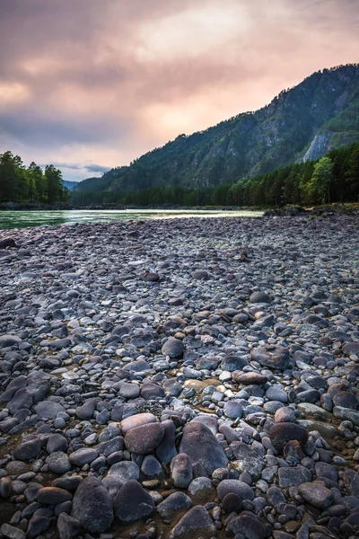 Mountain River Katun Omgivet Berg Vid Solnedgången Mountain Altai Södra — Stockfoto