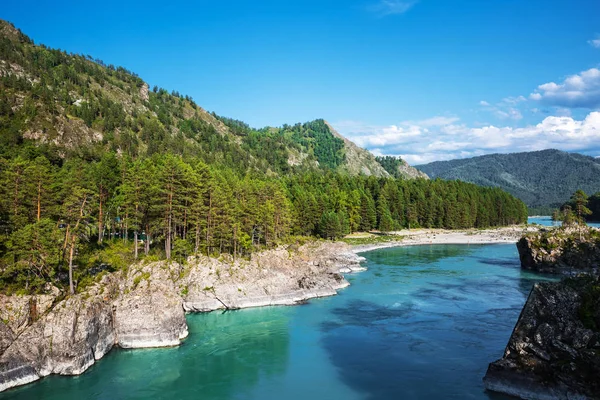 Katun nehrin kayalıklarla ve dağ manzarası. Dağ altay, Güney Sibirya, Rusya Federasyonu