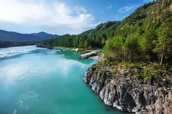 Katun nehrin kayalıklarla ve dağ manzarası. Dağ altay, Güney Sibirya, Rusya Federasyonu