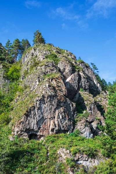 Летний Пейзаж Горами Соснами Склонах Горы Алтая Южная Сибирь — стоковое фото