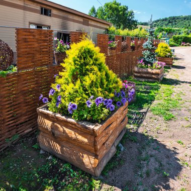 Altay Köyü, Gorny altay, Güney Sibirya, Rusya Federasyonu-25 Ağustos 2018: Botanik Bahçesi altay kholmogorie, çiçek dekorasyon topraklarının