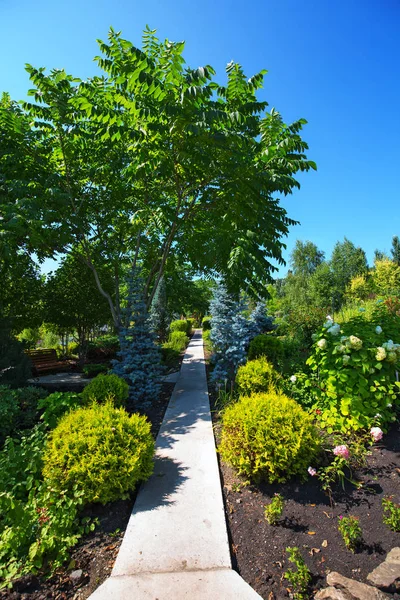 Altaidorf Gorny Altai Südsibirien Russland August 2018 Gebiet Des Arboretum — Stockfoto