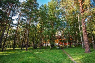 Katun turistik merkez, Katun nehir, Chemalsky district, Gorny altay, Güney Sibirya, Rusya Federasyonu-Ağustos 25, 2018: konut tatilcilerin ormandaki için