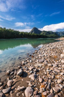 Yaz, yatay, altay, Katun nehir Gorny altay, Güney Sibirya, Rusya Federasyonu