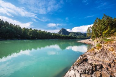 Yaz, yatay, altay, Katun nehir Gorny altay, Güney Sibirya, Rusya Federasyonu