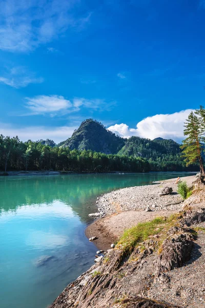 Katun Tourist Base Katun River Chemal District Altai Mountains South — Stock Photo, Image