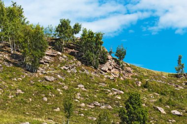 Tepelerin eteklerinde ile doğal taş kaplı. Dağ altay, Güney Sibirya, Rusya Federasyonu