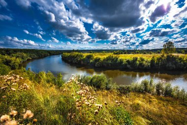 Inya Nehri ile yaz aylarında otlar. İlçe şehir, Toguchin, Novosibirsk Oblastı, Batı Sibirya, Rusya Federasyonu