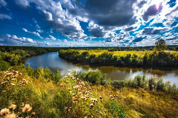 Rio Inya Com Gramíneas Verão Distrito Cidade Toguchin Novosibirsk Oblast — Fotografia de Stock