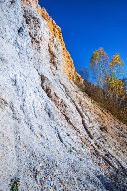 Tortul çıkışını Sipuniha ırmakları kadim Okyanus kayalar. Iskitim district, Novosibirsk bölgesi, Batı Sibirya, Rusya Federasyonu