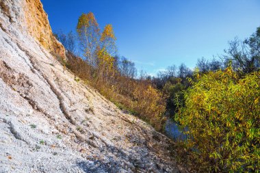 Tortul kayaçlar Sipuniha ırmakları antik okyanusun çıktı. Iskitim district, Novosibirsk bölgesi, Batı Sibirya, Rusya Federasyonu