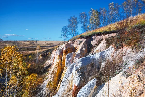 古代の海の岩 堆積の出力 Sipuniha 西シベリア ロシア ノボシビルスク地方 Iskitim — ストック写真