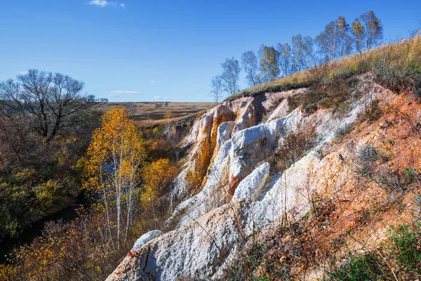 古代の海の岩 堆積の出力 Sipuniha 西シベリア ロシア ノボシビルスク地方 Iskitim — ストック写真