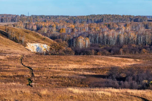 古代の海の岩 堆積の出力 Sipuniha 西シベリア ロシア ノボシビルスク地方 Iskitim — ストック写真