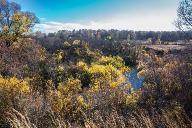 Sonbahar manzara nehir taşkın yatağının Shipuniha in. Iskitim district, Novosibirsk bölgesi, Batı Sibirya, Rusya Federasyonu