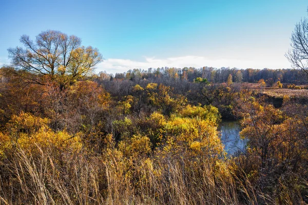 Herfst Landschap Uiterwaarden Van Rivier Van Shipuniha Iskitim Regio Van — Stockfoto