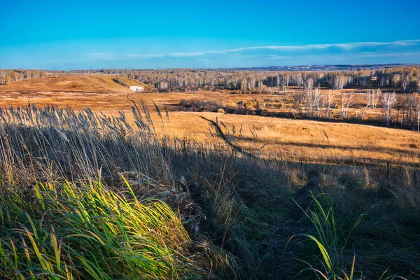 Herfst Landschap Uiterwaarden Van Rivier Van Shipuniha Iskitim Regio Van — Stockfoto