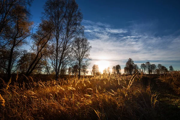 Herbstsonnenuntergang Iskitim Bezirk Nowosibirsk Gebiet Westsibirien Russland — Stockfoto