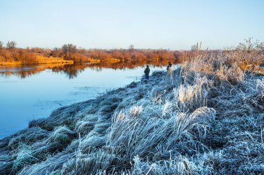Autumn landscape on the river with grass covered with frost. Chik river, Kolyvan, Novosibirsk region, Western Siberia, Russia clipart