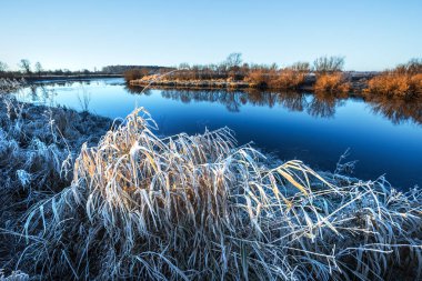 Sonbahar manzara Nehri ile çim üzerinde frost ile kaplı. Chik nehir, Kolyvan, Novosibirsk bölgesi, Batı Sibirya, Rusya Federasyonu