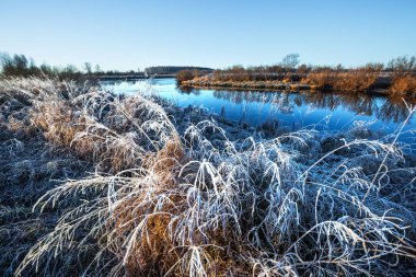 Sonbahar manzara Nehri ile çim üzerinde frost ile kaplı. Chik nehir, Kolyvan, Novosibirsk bölgesi, Batı Sibirya, Rusya Federasyonu