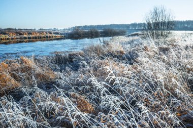 Sonbahar manzara Nehri ile çim üzerinde frost ile kaplı. Chik nehir, Kolyvan, Novosibirsk bölgesi, Batı Sibirya, Rusya Federasyonu