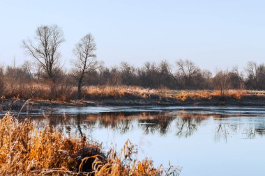 Chik sonbahar nehirde. Kolyvan bölge, Novosibirsk bölgesi, Batı Sibirya, Rusya Federasyonu