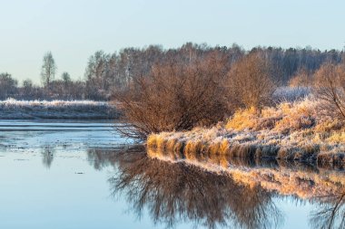 Sonbahar manzara Nehri ile çim üzerinde frost ile kaplı. Chik nehir, Kolyvan, Novosibirsk bölgesi, Batı Sibirya, Rusya Federasyonu