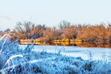 Sonbahar manzara Nehri ile çim üzerinde frost ile kaplı. Chik nehir, Kolyvan, Novosibirsk bölgesi, Batı Sibirya, Rusya Federasyonu