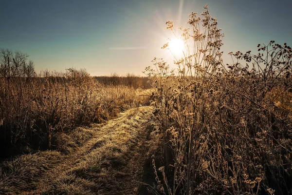 Sonnenaufgang Über Frostbedeckten Feldern Westsibirien Nowosibirsk Gebiet Kolyvan Bezirk Russland — Stockfoto