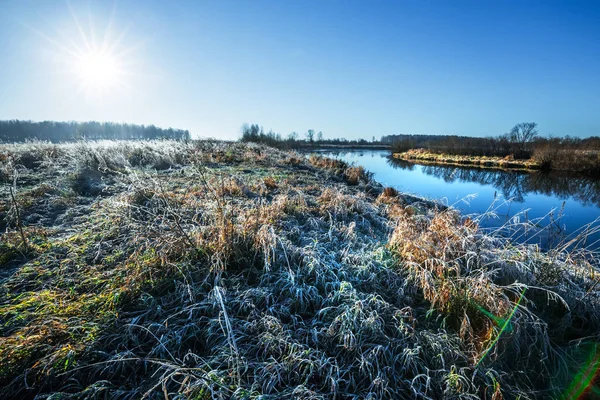 Autumn landscape on the river with grass covered with frost. Chik river, Kolyvan, Novosibirsk region, Western Siberia, Russia
