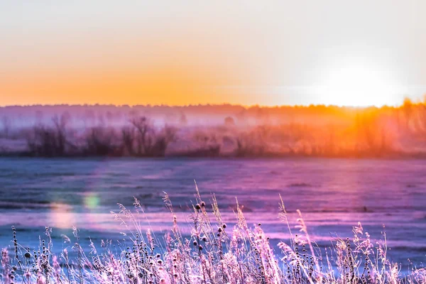 Východ Slunce Nad Pokrývala Jinovatka Pole Západní Sibiř Novosibirsk Region — Stock fotografie