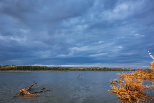 Nehrin yanında ağaçlar kapalı OB Suzun bölge, Novosibirsk bölgesi, Batı Sibirya, Rusya yıkanmış