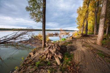 Nehrin yanında ağaçlar kapalı OB Suzun bölge, Novosibirsk bölgesi, Batı Sibirya, Rusya yıkanmış