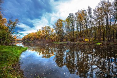 Sonbahar manzara ağaçlar Nehri üzerindeki yansımaları ile. OB, Verkh-Suzun, Suzun bölge, Novosibirsk bölgesi, Batı Sibirya, Rusya Federasyonu