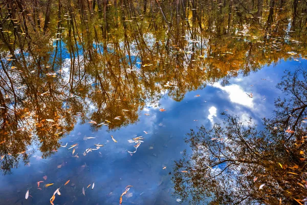 Autumn Landscape Reflections Trees River Verkh Suzun Suzun District Novosibirsk — Stock Photo, Image