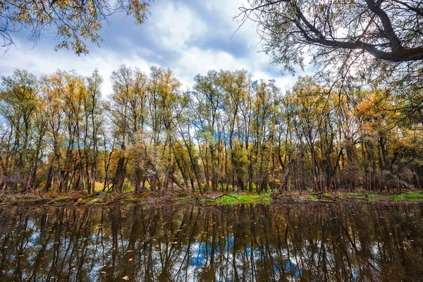 Herfst Landschap Met Reflecties Van Bomen Aan Rivier Verkh Suzun — Stockfoto