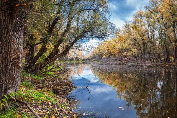 Herfst Landschap Ondiepe Rivier Kanaal Suzun District Novosibirsk Regio West — Stockfoto