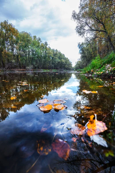 Herfst Landschap Ondiepe Rivier Kanaal Suzun District Novosibirsk Regio West — Stockfoto