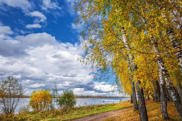 Rio Está Frio Outono Village Shipunovo Distrito Suzun Região Novosibirsk — Fotografia de Stock