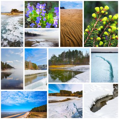 Kolaj dört mevsim - bahar. Batı Sibirya doğası